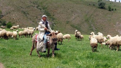 Yozgat'ta 16 Bin Lira Maasli Is, Türkler Begenmeyince Afganlara Kaldi