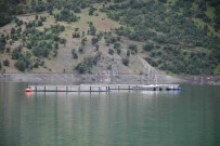 Devletin Projeleriyle Sirnak'ta Balik Hasadi Yapiliyor