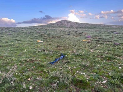 Hayvanlar Yalniz Dönünce, Çoban Arazide Ölü Bulundu