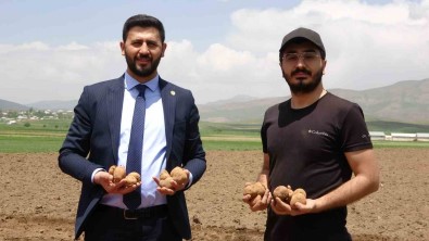 Irak'tan Dönen Genç Is Adami, Cilo Dagi Eteklerinde 100 Dönümlük Alana Patates Ekimine Basladi