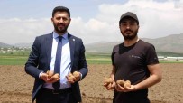 Irak'tan Dönen Genç Is Adami, Cilo Dagi Eteklerinde 100 Dönümlük Alana Patates Ekimine Basladi Haberi