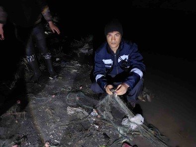 Van'da 500 Kilogram Inci Kefali Kurtarildi