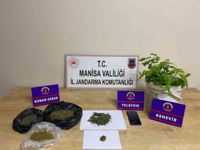 Manisa Jandarmasindan 389 Uyusturucu Operasyonu