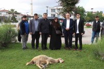 Seçimi Kazanan Cumhurbaskani Erdogan Için Ilçe Belediyesinin Bahçesinde Koç Kestirdi Haberi