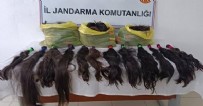  AĞRI SON DAKİKA HABERLERİ - Ağrı'da orjinal insan saçı ele geçirildi