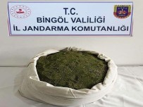 Bingöl'de 21 Kilo Toz Esrar Ele Geçirildi