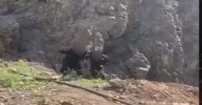 MSB, sözde yönetim kadrosundan 2 PKK'lı teröristin teslim olma görüntülerini paylaştı