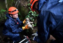 5 Metrelik Çukurda Mahsur Kalan Yavru Köpek Kurtarildi