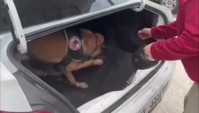 Aracin Bagajina Gizlenen Uyusturucu Böyle Bulundu