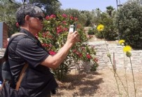 Dünyada sadece Türkiye'de görülüyor: Herkes görmek için bölgeye akın ediyor