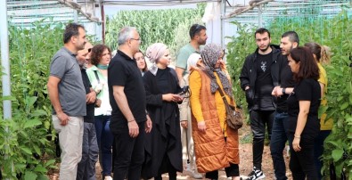 Yalovali Sebze Üreticilerinden Kumluca'ya Teknik Gezi