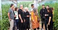 Yalovali Sebze Üreticilerinden Kumluca'ya Teknik Gezi Haberi