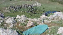 Karaman'da Bir Kadin Esi Ve Kendisini Darp Eden Kayinbiraderini Biçaklayarak Öldürdü Haberi