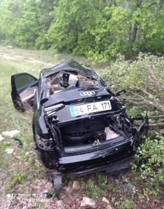 Otomobil Yoldan Çikip Agaca Çarpti Açiklamasi 1 Ölü, 5 Yarali