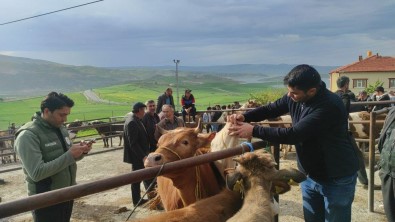 Yozgat'ta Hayvan Pazarlari Tedbir Amaciyla Kapatildi