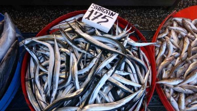 Kiyi Balikçilari Da Umut Olmadi