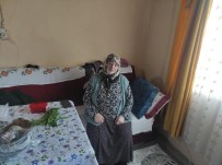 Kars'ta Yasli Kadinin Evini Soydular Haberi