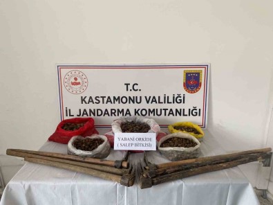 Kastamonu'da 22,5 Kilogram Sahleple Yakalanan 3 Kisiye Ceza