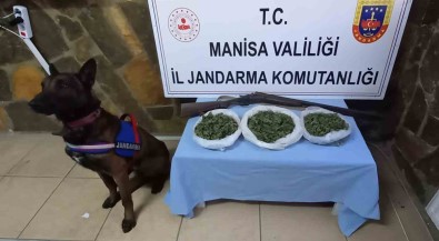 Manisa Jandarmasi Uyusturucu Tacirlerine Göz Açtirmiyor