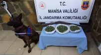 Manisa Jandarmasi Uyusturucu Tacirlerine Göz Açtirmiyor