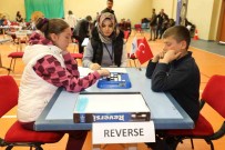 Agri'da 5. Akil Ve Zeka Oyunlari Turnuvasi Il Finali Yapildi