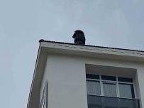 Çatiya Çikip Ekiplere Zor Anlar Yasatti, Iki Saat Sonunda Ikna Edilebildi