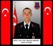 Jandarma Uzman Onbasi Oguzhan Kabayel Geçirdigi Trafik Kazasi Sonucu Sehit Oldu Haberi