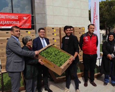 Mugla'da 2,5 Milyon Ata Fidesi Toprakla Bulustu