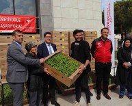 Mugla'da 2,5 Milyon Ata Fidesi Toprakla Bulustu