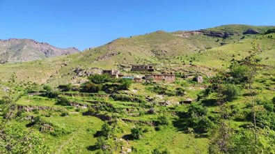 Türkiye'nin gizli hazinesi: Uydu haritalarını incelerken tesadüfen bulundu içinden çıkanlar herkesi şaşırttı