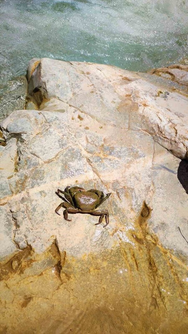 Türkiye'nin gizli hazinesi: Uydu haritalarını incelerken tesadüfen bulundu içinden çıkanlar herkesi şaşırttı