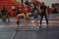 Kars'ta Güresçiler Finaller Için Mindere Çikti