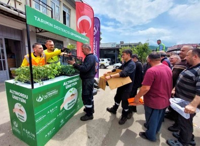 Altinordu'da Çiftçilere 452 Bin Adet Fide Destegi