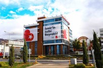 Bayrakli Belediyesi 'Yesil Gelecek' Için Harekete Geçti