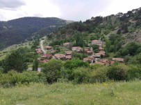 Bu Köyde Sandiktaki Tüm Oylar Cumhurbaskani Erdogan'a Çikti