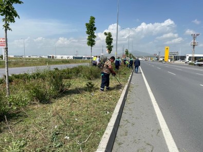 Kayseri'de Yabanci Otlarla Mücadele