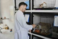 Kusadasi'nda Sahipsiz Can Dostlarin Ihtiyaçlari Ücretsiz Karsilaniyor