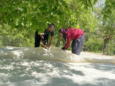 Tunceli'de Dut Üreticileri Dayanisma Içerisinde Bahçelerini Sezona Hazirliyor