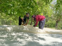 Tunceli'de Dut Üreticileri Dayanisma Içerisinde Bahçelerini Sezona Hazirliyor Haberi