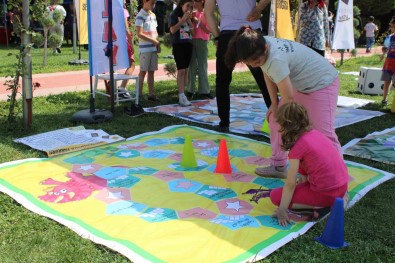 Ulusal Matematik Sampiyonasi Finali, Aydin'a Renk Katti