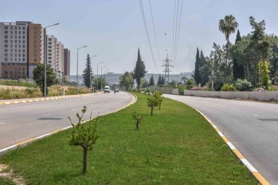 Antalya'nin Kurtulus Caddesi Yemyesil Oldu
