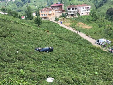 Rize'de Otomobil Çay Bahçesine Yuvarlandi Açiklamasi 2 Yarali
