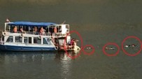 Siirt’te Ilısu Barajı havzasında sandal alabora oldu: 8 kişi kurtarıldı