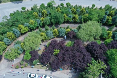 Kocaeli'de Kisi Basina Düsen Yesil Alan 13,5 Metrekareye Çikti