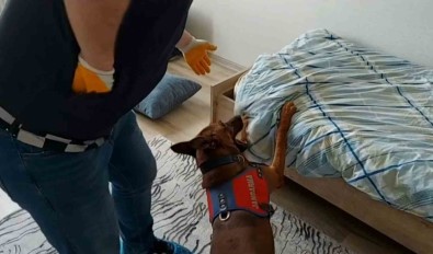 Yatak Altindan Uyusturucu Çikti