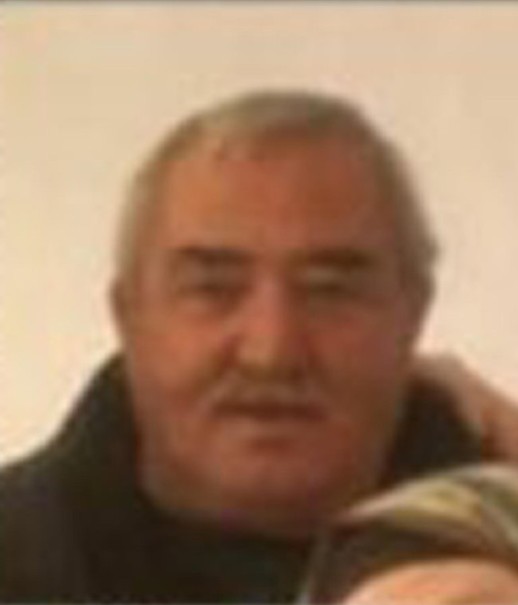 Aracıyla zeytinliğe uçtu: Acı haber geldi!