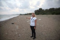 Dünyanin Gözünün Oldugu Sahillerde Insanlik Ayibi