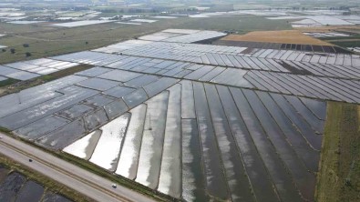 Gönen Ve Manyas Ovalarinda Çeltik Ekimine Baslandi