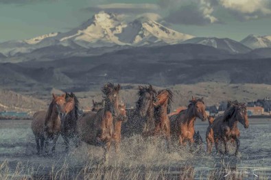 Hürmetçi Sazligi Türkiye'nin Bildigi Tanidigi Bir Alan Olacak