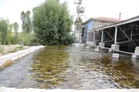 Van, Ucuz Suda 2'Nci Sirada